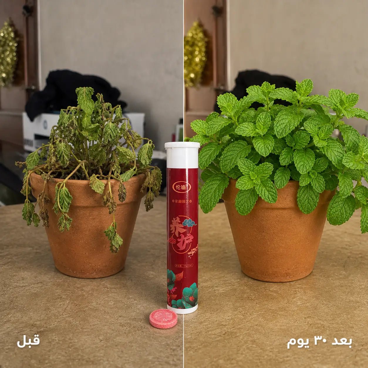 أقراص تغذية النباتات —  تقوّي الجذور • تسرّع النمو • تزيد الإزهار